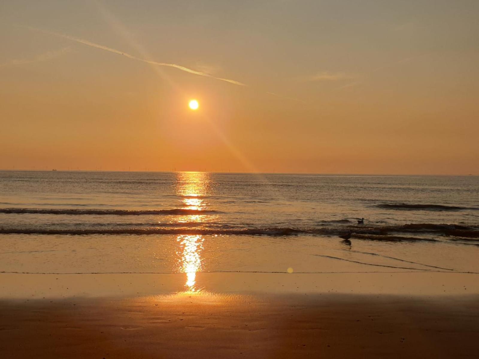 Beach-House27 Egmond aan Zee Dış mekan fotoğraf
